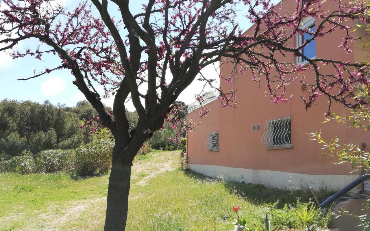 Studio 28M2 Climatise,Wifi, Proche Des Calanques,Plages La Ciotat Exteriér fotografie