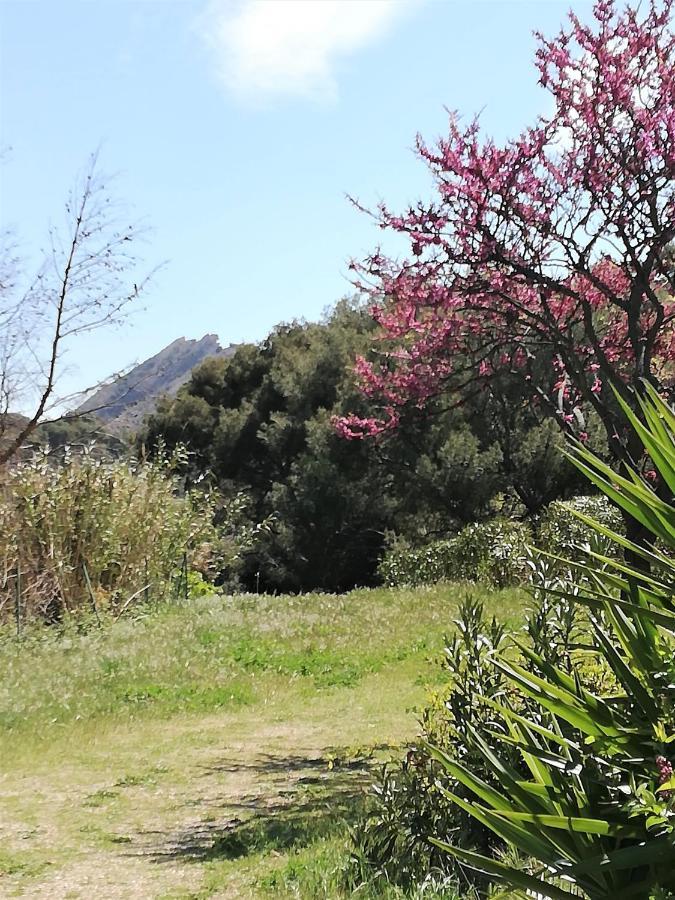 Studio 28M2 Climatise,Wifi, Proche Des Calanques,Plages La Ciotat Exteriér fotografie